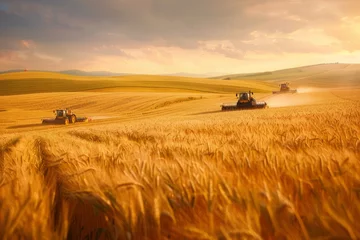 Foto op Plexiglas Team of agricultural workers harvesting ripe crops in a vast field, with golden wheat swaying in the breeze and tractors gathering the harvest, Generative AI © Shooting Star Std