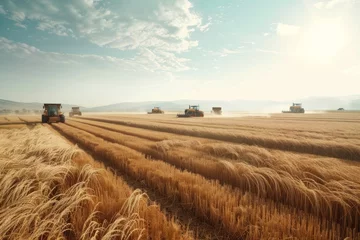 Foto op Aluminium Team of agricultural workers harvesting ripe crops in a vast field, with golden wheat swaying in the breeze and tractors gathering the harvest, Generative AI © Shooting Star Std