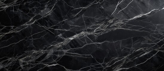 A detailed shot showcasing the intricate patterns of a black marble texture, accentuated by striking white veins resembling plant twigs against a dark sky backdrop