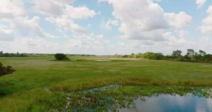 Lush Arauca landscape with a serene pond under a blue sky, Colombia, fast forward flight