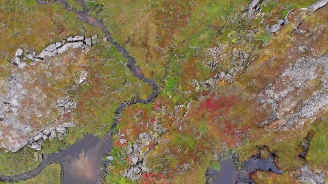 Aerial: zentital shot  of a lake and a plateau in Bjornfell, in northern Norway and close to Sweden