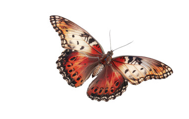 Fototapeta na wymiar Crimson Butterfly Soaring isolated on transparent Background