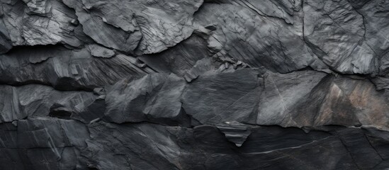 A closeup of a bedrock outcrop covered in grey charcoal, creating a monochrome landscape. The woodlike texture contrasts with the dark soil and rock, resembling a fault line