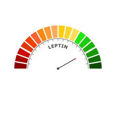 Leptin good level on measure scale. Instrument scale with arrow. Colorful infographic gauge element. The human obesity protein that regulates an appetite by inhibiting hunger.