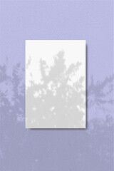 An rectangle sheet of white textured paper on a violet wall background. Natural light casts shadows from a tropical plants. Vertical mockup