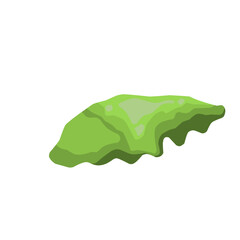 Swamp Moss Illustration 