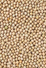 Top View of Dry Pea Seeds Background with Copy Space
