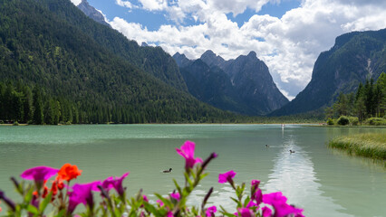 Amazing view of the famous Dobbiaco lake. Alpine lake. Italian Alps. Picturesque mountain lake at Dolomites. Wonderful nature contest. Iconic location for photographers