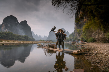 Chinese man fishing with cormorants birds, Yangshuo, Guangxi region