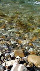 田舎を流れる清流