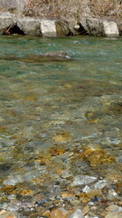 田舎を流れる清流