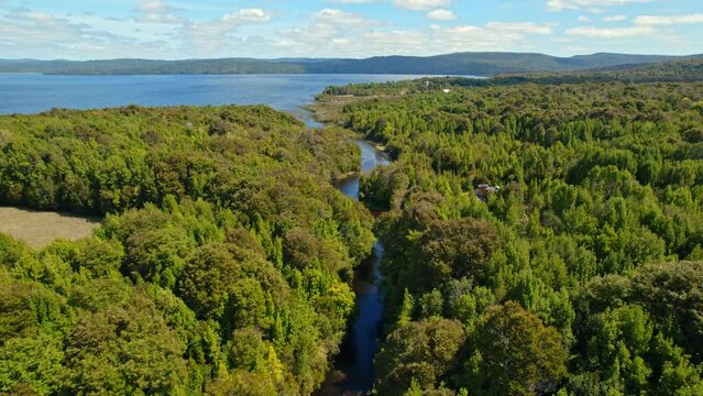Drone flyover Bravo river flows into the Huillinco Lake surrounded by lush vegetation, Cucao Chile