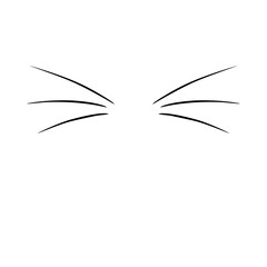 Cat Whiskers 