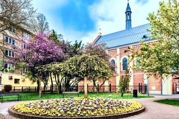Fragment of the spring blooming city of Jaslo, Poland.