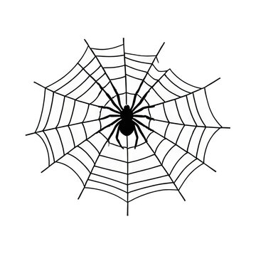 Spider Web Hand Drawn Cartoon Style Illustration