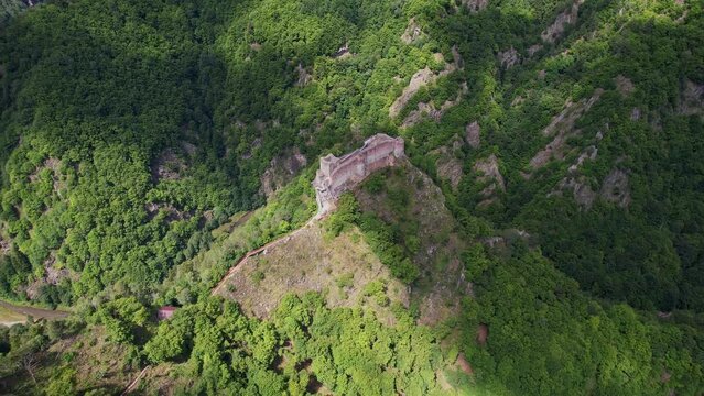 Misty morning view of the historic Poenari Citadel on a cliff, overlooking a dense forest