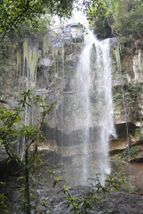 waterfall in the forest