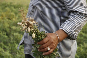 man holding a bunch of peanuts