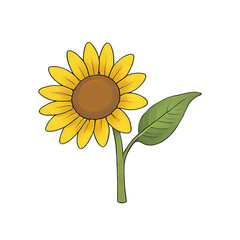 Sunflower Hand Drawn Cartoon Style Illustration