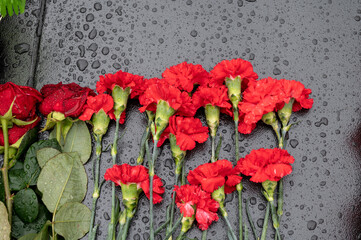 Red carnation flowers and roses are laid on a marble slab in the rain