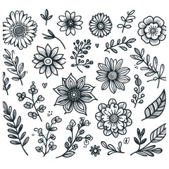 Floral design elements in doodle style