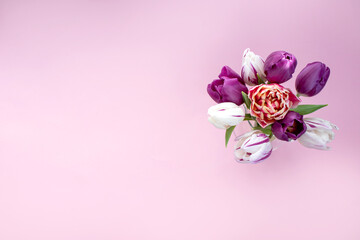 A bouquet of colorful bright tulips of different varieties on a pink background. Top view