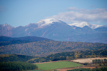 秋の森林と冠雪の山並み
