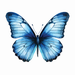 Blue Butterfly Clipart Clipart isolated on white background