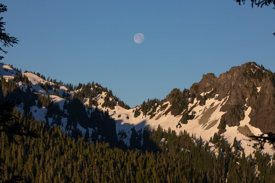 Morning moon at Mount Rainier in summer time