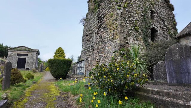 Old Irish graveyard on a spring morning with castle ruins and Cript