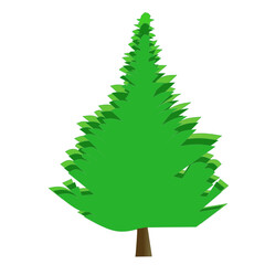 christmas tree isolated on white. Vector illustration of spruce tree on white background.