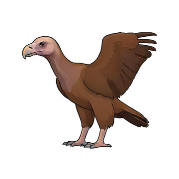recommend clip art: Vulture Hand Drawn Cartoon Style Illustration