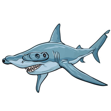 Vector image of a shark. Hand drawn sketch of a shark.
