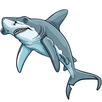 Vector image of a shark. Hand drawn sketch of a shark.