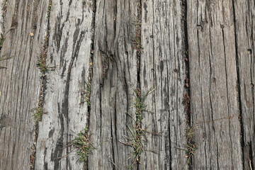 나무, 고목, 결, 나이테, 오래된, 백그라운드, 텍스츄어