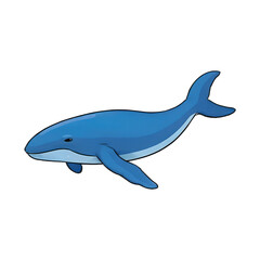 Whale Hand Drawn Cartoon Style Illustration