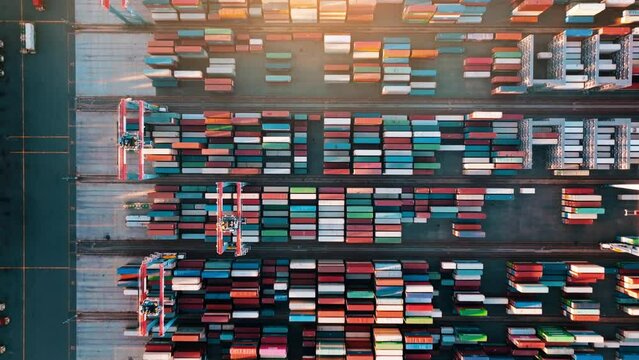 Cargo containers in busy port. Shipping harbor, logistics, loading and unloading of ships. Export and import of goods. Top view of shipping containers on a commercial dock.