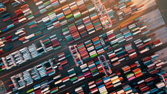 Cargo containers in busy port. Shipping harbor, logistics, loading and unloading of ships. Export and import of goods. Top view of shipping containers on a commercial dock.