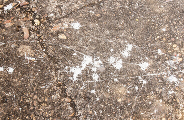 Vintage or grungy white background of natural cement