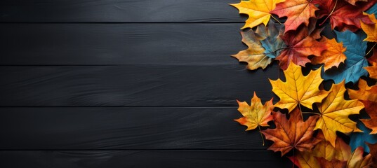Naklejka na ściany i meble beautiful autumn leaves, copy space for text