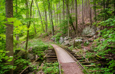 Boardwalk Trail in The Blue Ridge Parkway, National Parkway and All-American Road