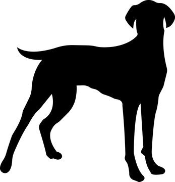 Dog silhouette icon. black flat animal vector isolated on transparent background. Belgian malinois clipart, depict dog standing, walking, running, jumping and digging hole.