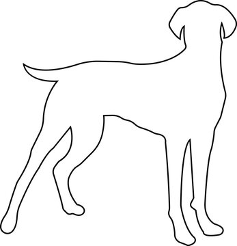 Dog silhouette icon. black line animal vector isolated on transparent background. Belgian malinois clipart, depict dog standing, walking, running, jumping and digging hole.