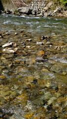 田舎を流れる清流