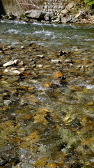 田舎を流れる清流