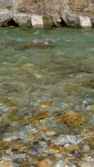 田舎を流れる清流