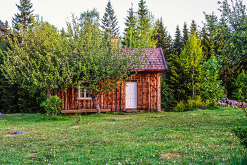 Old cottage in the country with fruit trees in the garden - obrazy, fototapety, plakaty