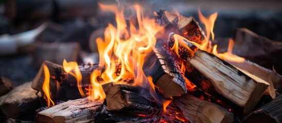 Close shot of flames engulfing firewood - Powered by Adobe