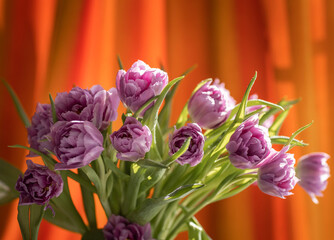 bouquet of tulips on an orange background.