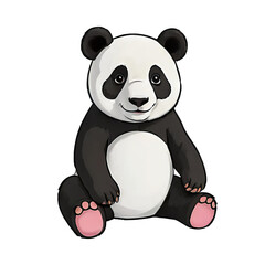 Panda Hand Drawn Cartoon Style Illustration